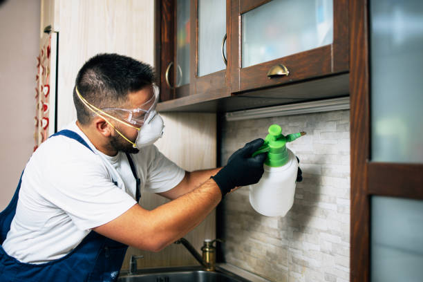 Best Pest Inspection Near Me  in La Marque, TX