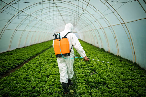 Best Affordable Pest Control Services  in La Marque, TX