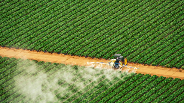 Best Best Pest Control Companies  in La Marque, TX